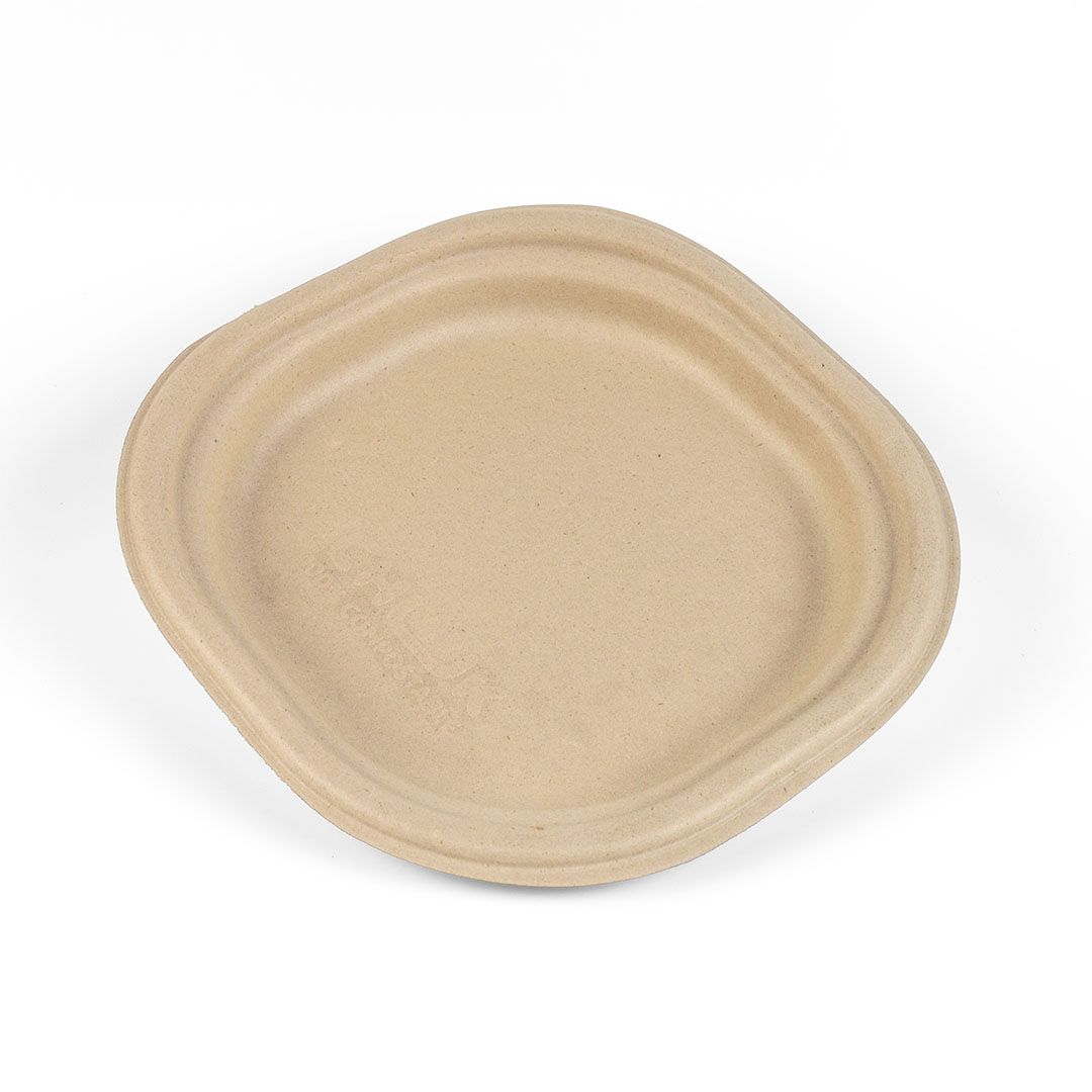 6 Inch Plate