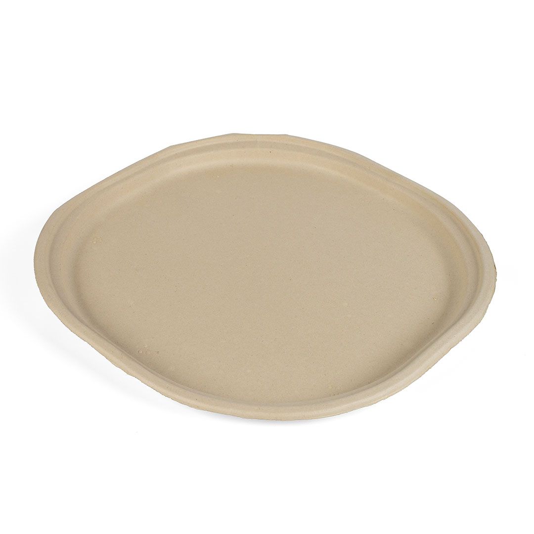 12 Inch Plate