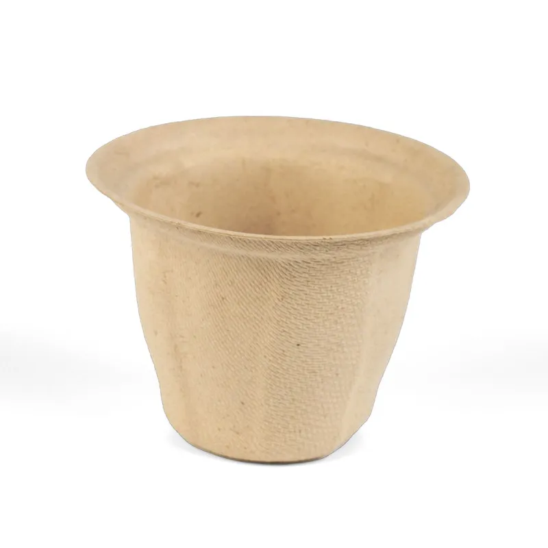 Cups