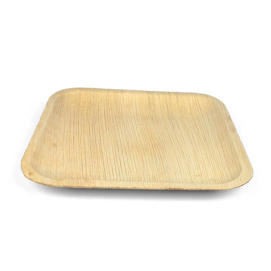 9 Inch Square Plate