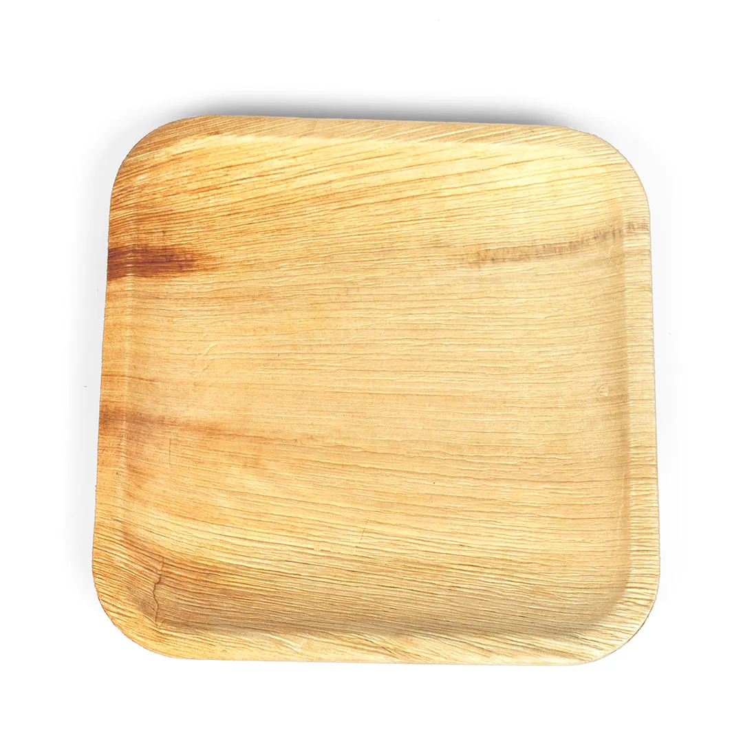 9 Inch Square Plate