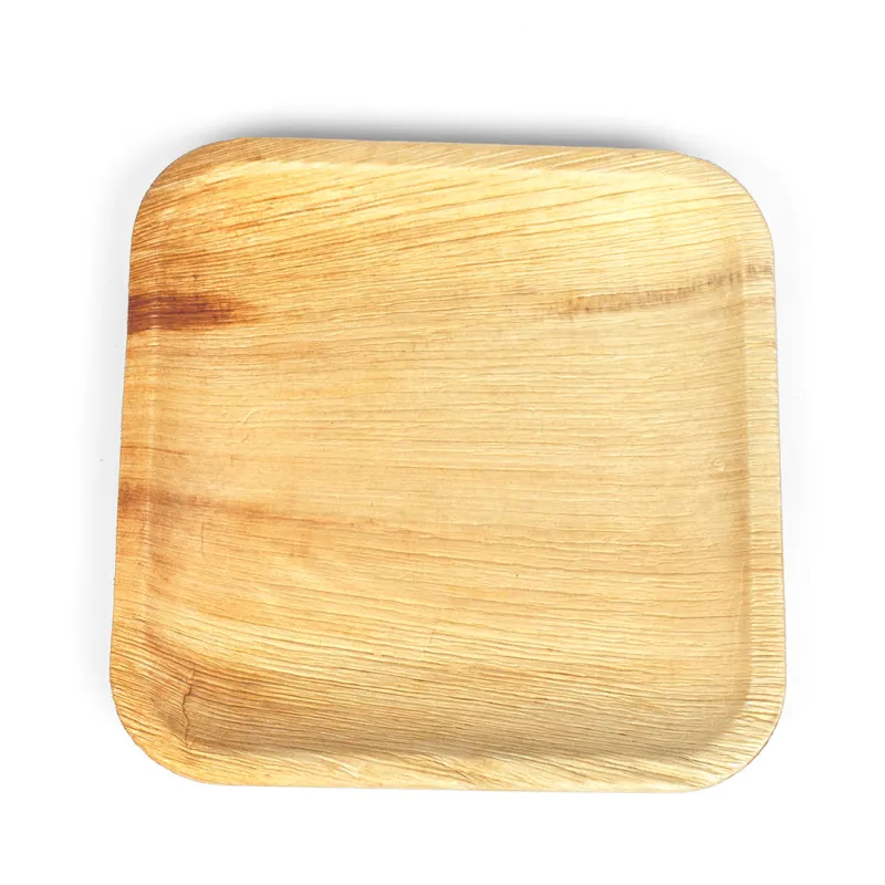 9 Inch Square Areca Plate