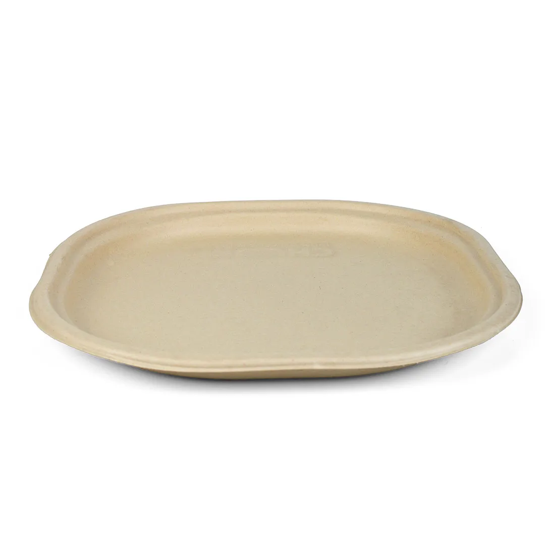 10 Inch Plate