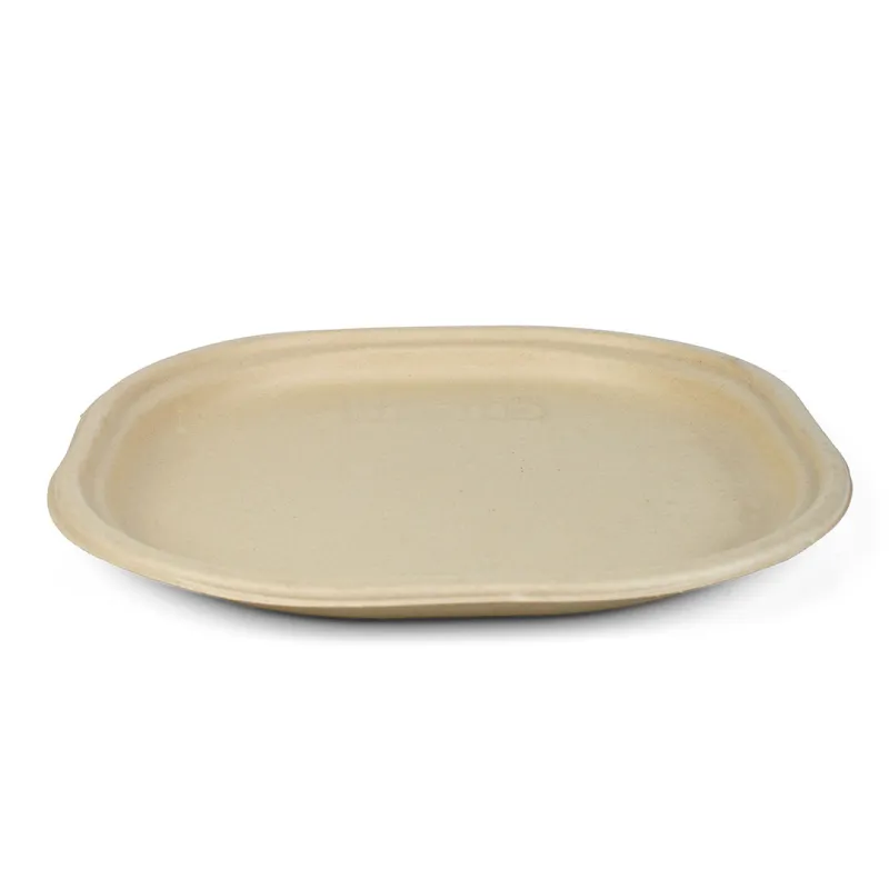 12 Inch Plate