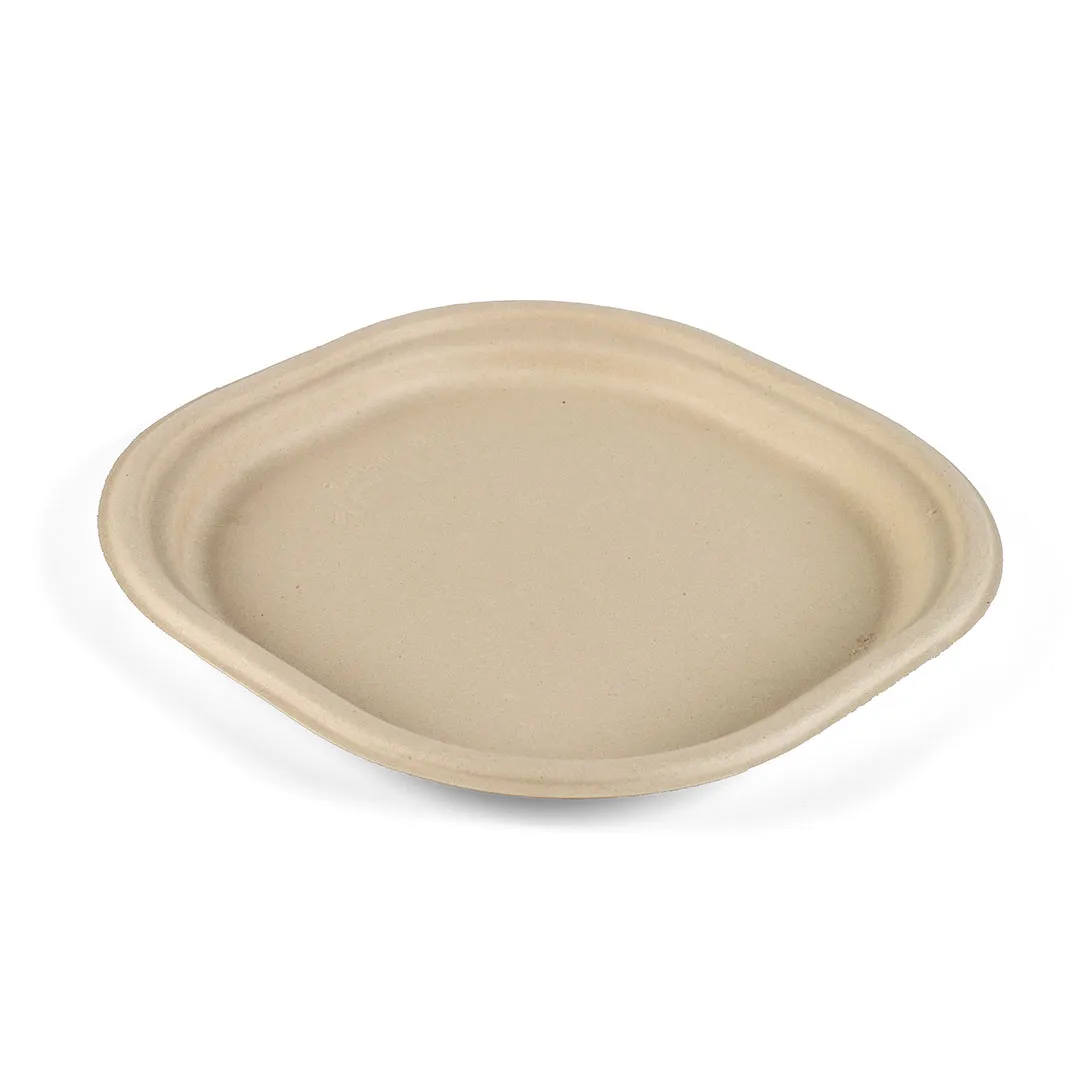 6 Inch Plate