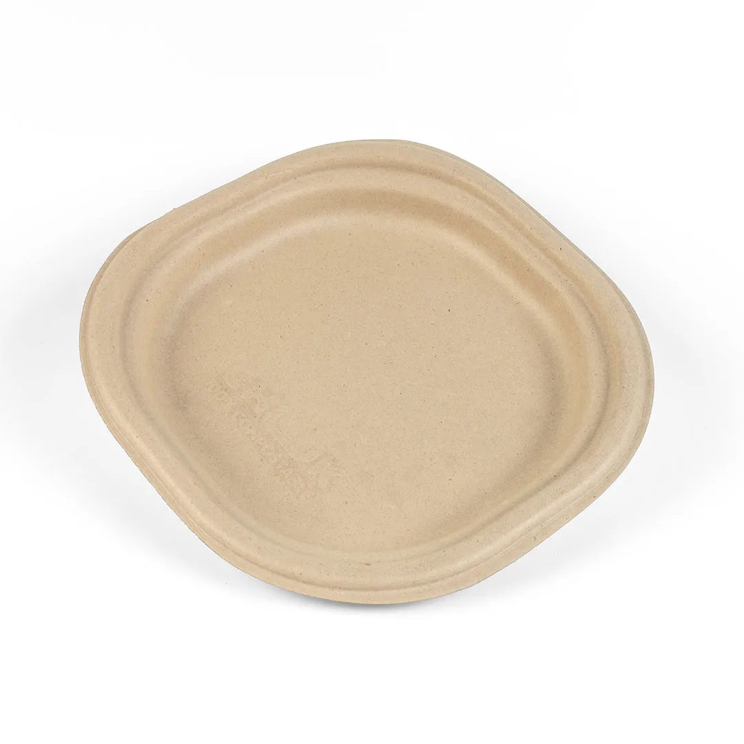 6 Inch Plate