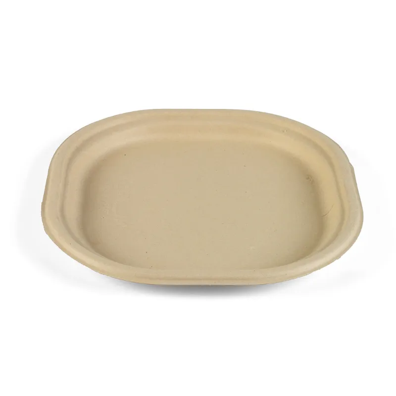 6 Inch Plate