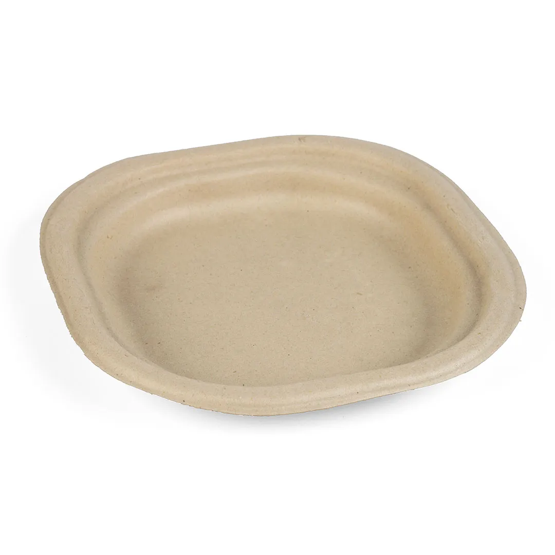 7 Inch Plate