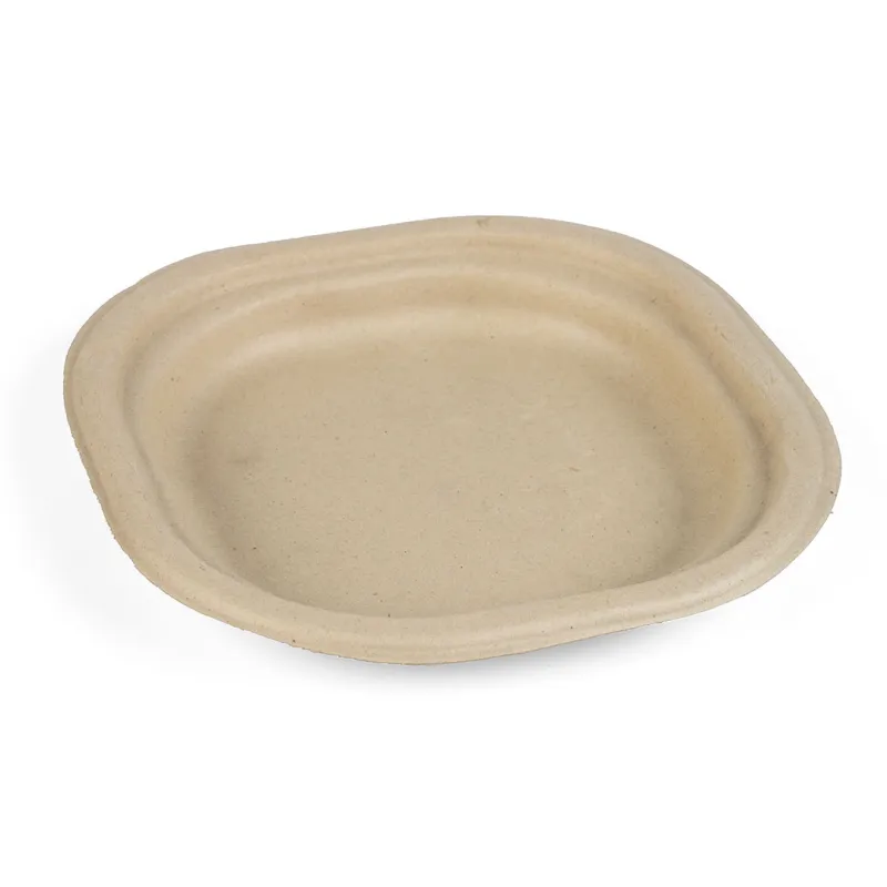7 Inch Plate