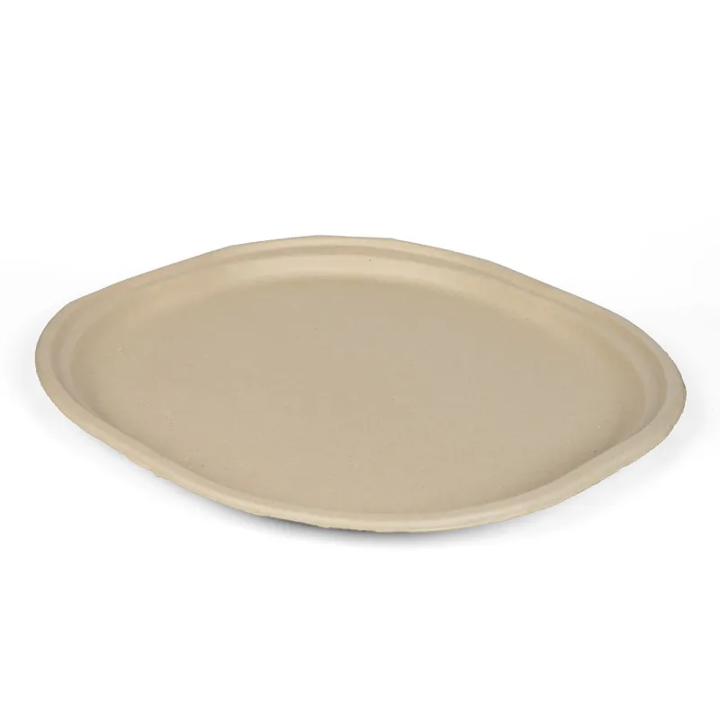 9 Inch Plate