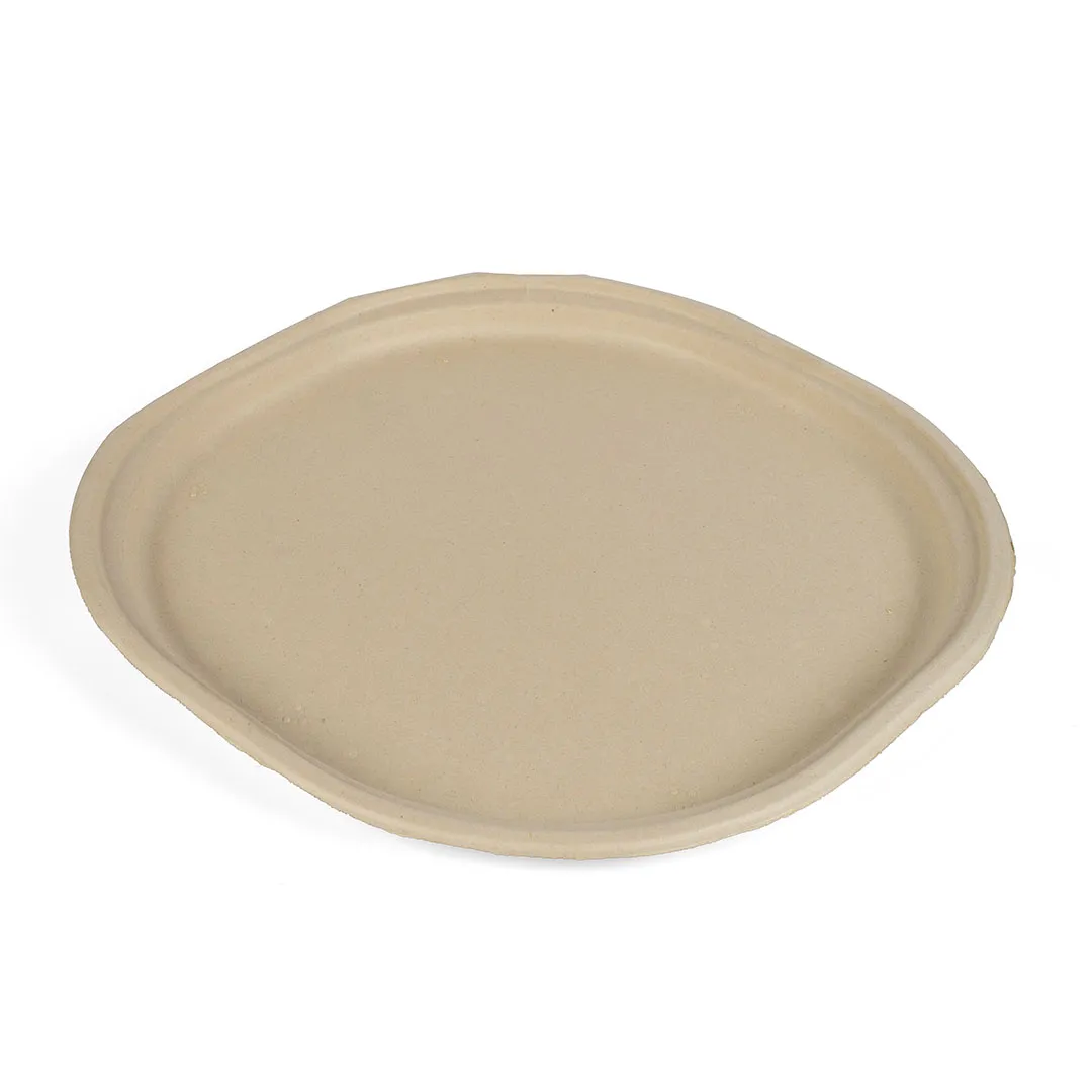 9 Inch Plate